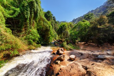 Güzel bir yeşil ağaçların arasında nehir dağ manzarası