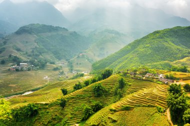 Highlands, güneşli yeşil pirinç terasları. Sa Pa District, Vietnam