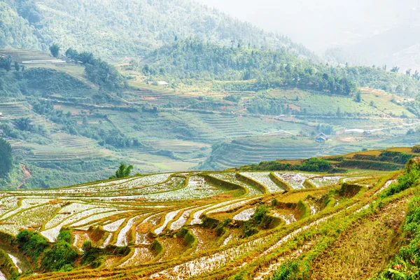 Vistas panorámicas de terrazas de arroz espejo llenas de agua, Vietnam —  Fotos de Stock
