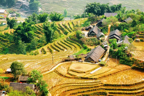 Casas de pueblo y terrazas de arroz entre árboles verdes, Vietnam —  Fotos de Stock