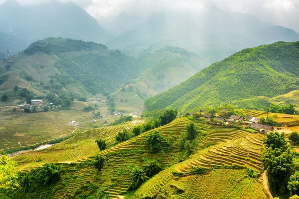 Sunlit green rice terraces at highlands. Sa Pa District, Vietnam — Stock Photo, Image