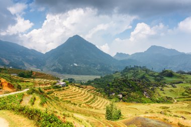 Vietnam'da Sa Pa dağlık pirinç terasları görünümü