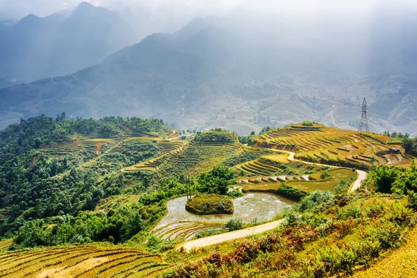 Красивый вид на рисовые террасы, наполненные водой во Вьетнаме — стоковое фото