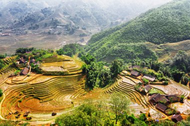 Su dolu köy evleri ve pirinç teraslarının en iyi manzarası