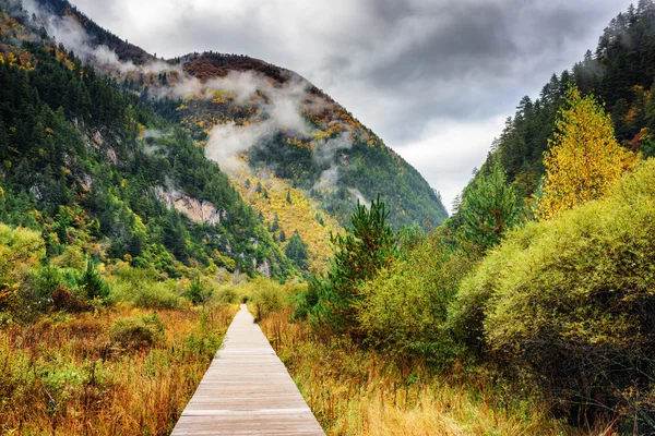 Boardwalk de madeira que conduz às montanhas, reserva natural de Jiuzhaigou — Fotografia de Stock