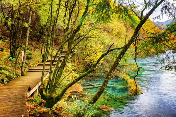 Holzpromenade am See mit klarem azurblauem Wasser im Wald — Stockfoto