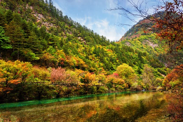 가을 숲 사이 맑은 물이있는 아름다운 강 — 스톡 사진