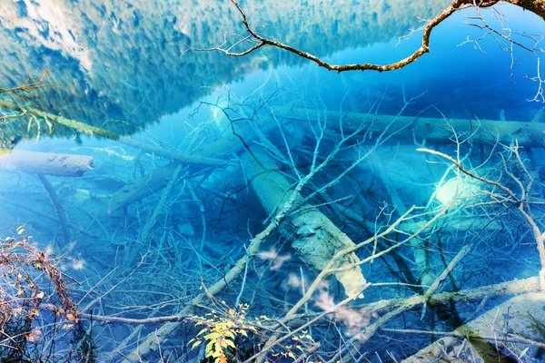 Agua cristalina azul del lago con troncos de árboles sumergidos —  Fotos de Stock