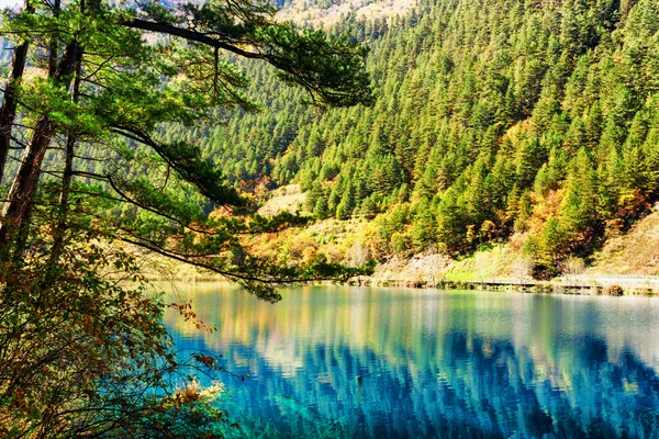 Όμορφη θέα της λίμνης ανάμεσα σε βουνά με αειθαλή δάση — Φωτογραφία Αρχείου