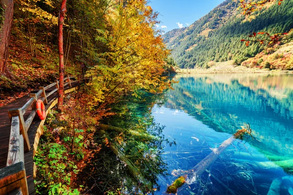 Bella vista sul lago con acqua azzurra tra boschi autunnali — Foto Stock