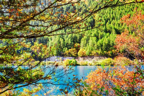Krásný výhled přes listoví stromy. Azurová voda jezera — Stock fotografie