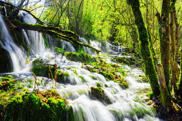 Cachoeira incrível com água cristalina entre madeiras verdes — Fotografia de Stock