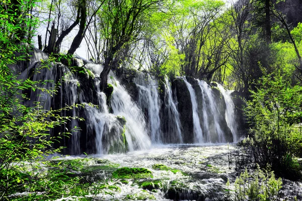 Vattenfall med kristallklart vatten bland gröna träslag, Jiuzhaigou — Stockfoto