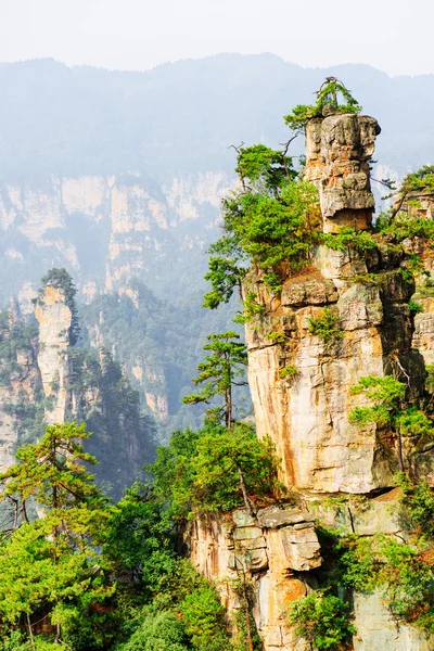 Kayanın tepesinde yetişen ağaçların fantastik görünümü (Avatar Rocks) — Stok fotoğraf