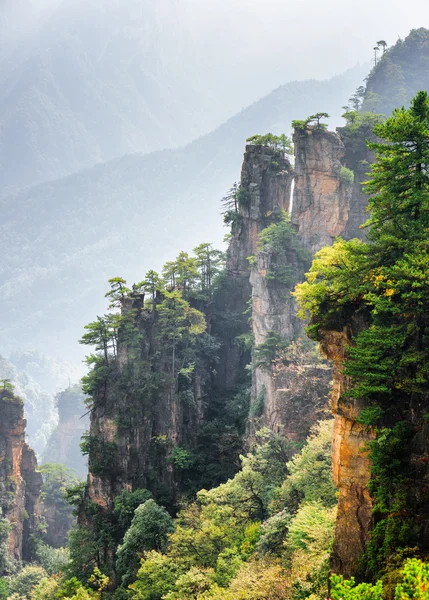 Fantástica vista de árboles creciendo en acantilados empinados (Avatar Rocas ) —  Fotos de Stock