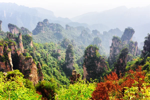 Bella vista di pilastri in pietra arenaria naturale di quarzo boscosa — Foto Stock