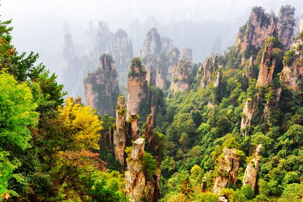 Vue du dessus de la forêt naturelle de grès de quartz parmi les bois d'automne — Photo