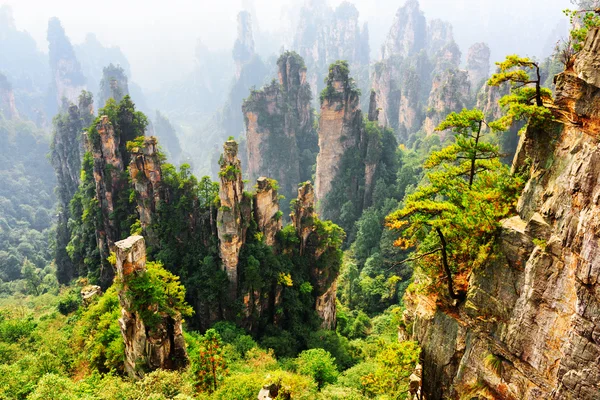 Kuvars kumtaşı orman Fantastik üst görünümü (Avatar Rocks) — Stok fotoğraf