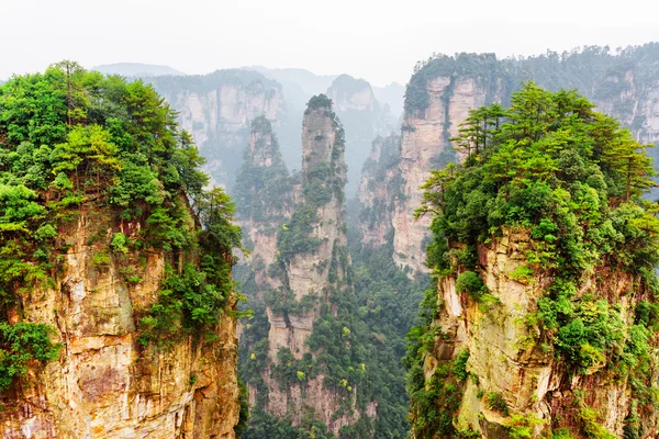 La montagna Avatar Hallelujah e altre rocce boscose, Cina — Foto Stock