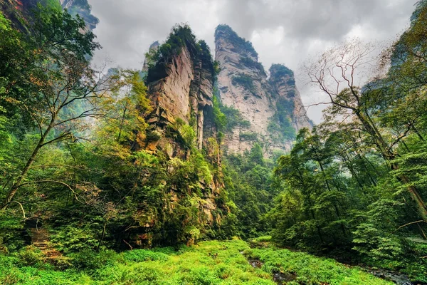 Vue du bas de falaises escarpées étonnantes parmi les bois verts et les ruisseaux — Photo