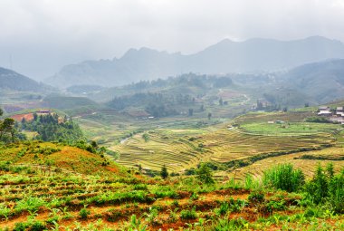 Dağlık, Sa Pa, Vietnam'daki teraslı pirinç tarlalarının manzara görünümü