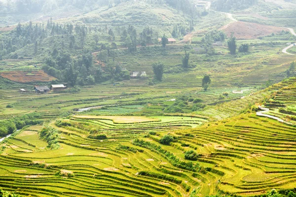 Vista panorámica de los campos de arroz en terrazas verdes en las tierras altas, Vietnam —  Fotos de Stock