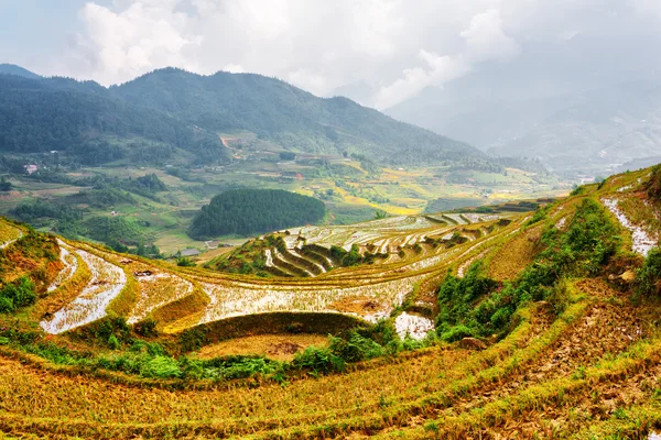 View of rice terraces filled with water at highlands, Vietnam — Stock Photo, Image