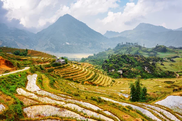 Вид заполненных водой рисовых террас на возвышенностях Вьетнама — стоковое фото