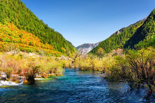 Úžasný pohled na řeku mezi pestrým lesem a horami — Stock fotografie