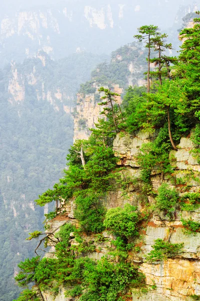 Vista panorámica de árboles verdes creciendo en la cima de la roca, Avatar Rocas —  Fotos de Stock