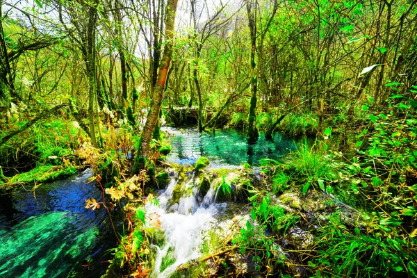 Rio com água cristalina azure entre madeiras verdes — Fotografia de Stock