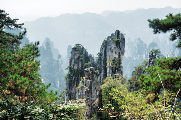 Fantastic view of amazing natural quartz sandstone pillars among woods and rocks in the Tianzi Mountains (Avatar Mountains), the Zhangjiajie National Forest Park, Hunan Province, China. Toned image.