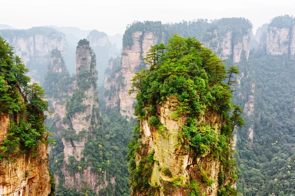 Avatar Hallelujah Dağı ve diğer şaşırtıcı kayalar, Çin — Stok fotoğraf