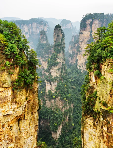 V pohoří avatar Hallelujah a další Fantastické skály, Čína — Stock fotografie