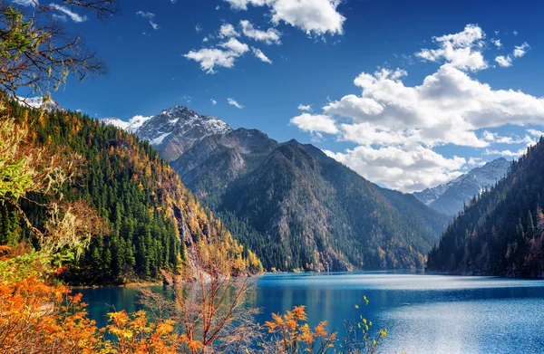 山脉和秋天树林之间长湖的美丽景色 — 图库照片