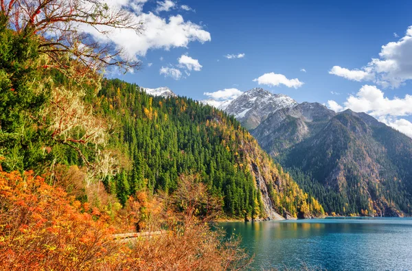 Vista panorámica del Lago Largo entre bosques de otoño y montañas — Foto de Stock