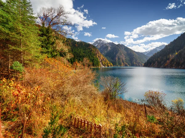 Schöner Blick auf den langen See inmitten des bunten Herbstwaldes — Stockfoto