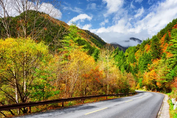 Strada panoramica tra colorati boschi autunnali. Paesaggio d'autunno — Foto Stock