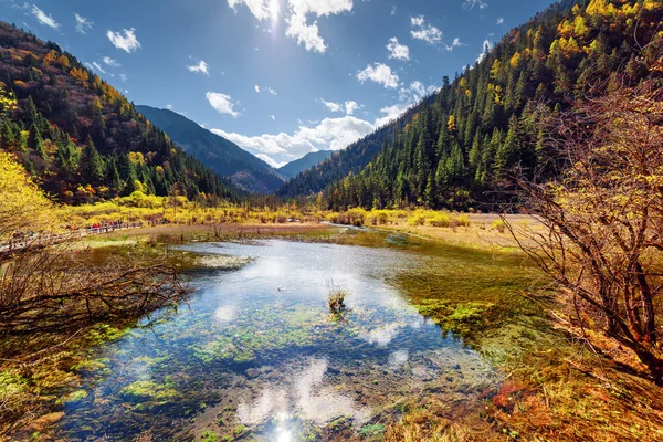 Vista incrível de um lago semi-pântano entre montanhas arborizadas — Fotografia de Stock