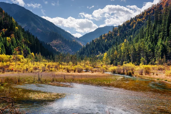 Beautiful view of a semi-marsh lake among wooded mountains — Stock Photo, Image