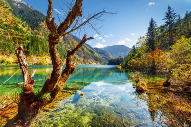 Beautiful view of the Arrow Bamboo Lake among fall woods clipart