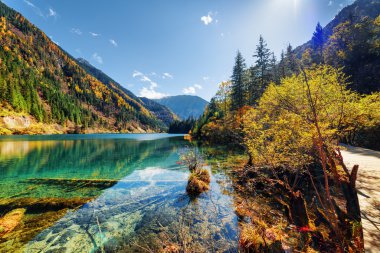 Beautiful view of the Arrow Bamboo Lake among wooded mountains clipart