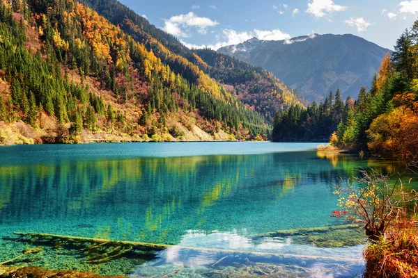 Amazing view of the Arrow Bamboo Lake among autumn woods — Stock Photo, Image