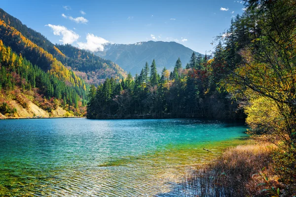 与蔚蓝的水箭竹湖的神奇景色 — 图库照片