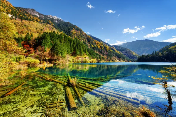 Scenic View Of Green River With Crystal Water Among Fall Fields Stock