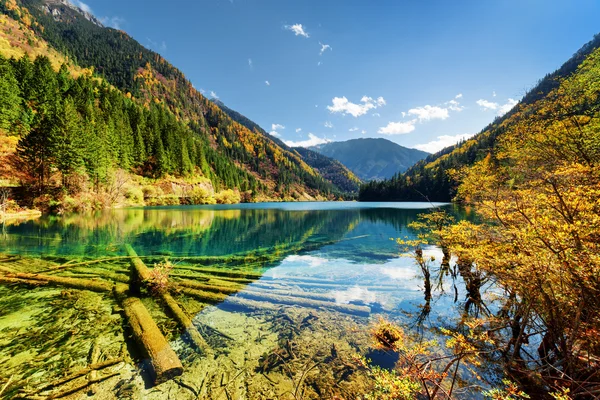 山间清澈的箭竹湖 — 图库照片