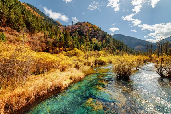 Río escénico con agua cristalina entre bosque otoñal y montañas — Foto de Stock