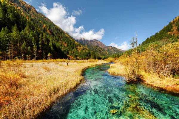 Vista panorámica del increíble río entre campos de otoño y montañas —  Fotos de Stock