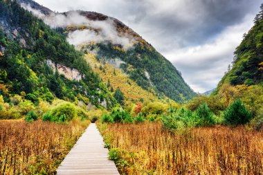 Wooden boardwalk leading to mountains, Jiuzhaigou National Park clipart