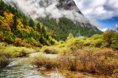 Min Dağları'ndaki sonbahar ormanları arasında berrak nehir suyu